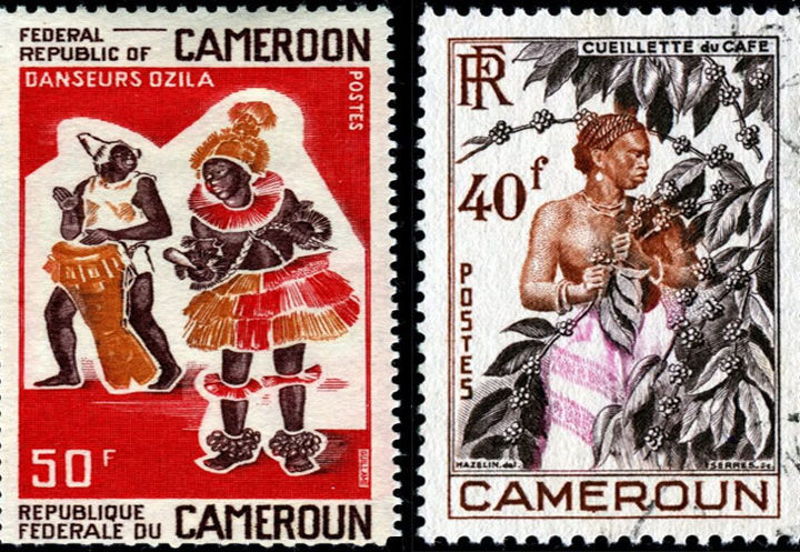 Gruppo B: Camerun